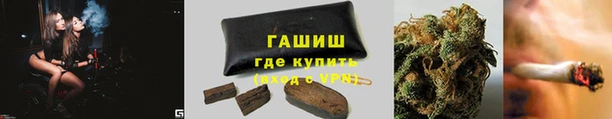 гидра Аркадак
