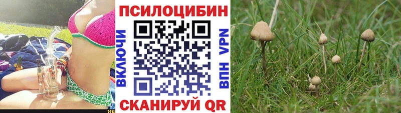 где продают наркотики  Слободской  Галлюциногенные грибы мухоморы 